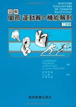 下肢からある身体の機能改善法 2 DVDセット 下肢からある身体の機能改善法 2 DVDセット 下肢からある身体の